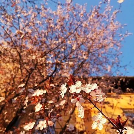 Vv Art, Unique In Center