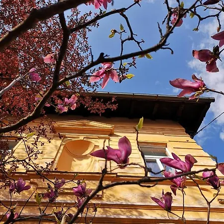 Vv Art, Unique In Center アパート *