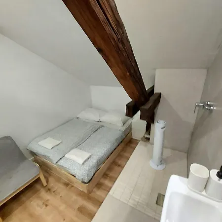 アパート Vv Art, Unique In Center リュブリャナ