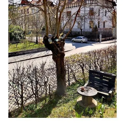 Vv Art, Unique In Center Appartement *