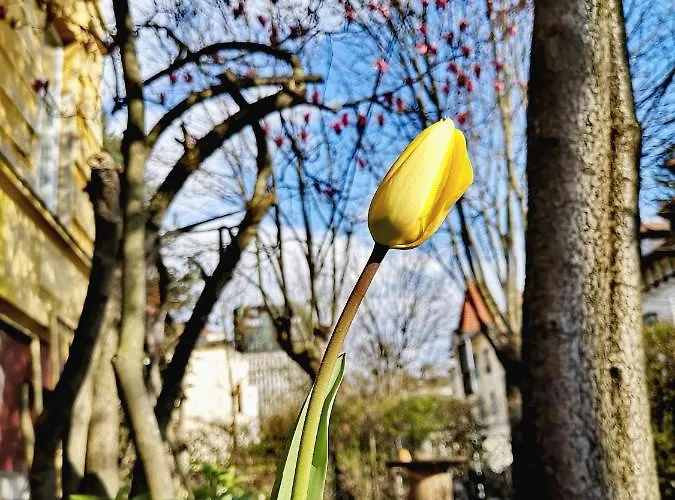 Vv Art, Unique In Center * Ljubljana