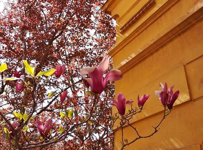 Vv Art, Unique In Center Appartement Ljubljana