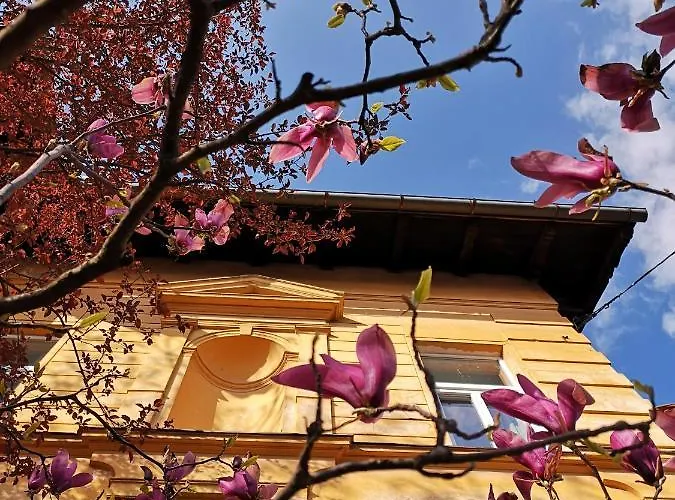 Vv Art, Unique In Center Appartamento *