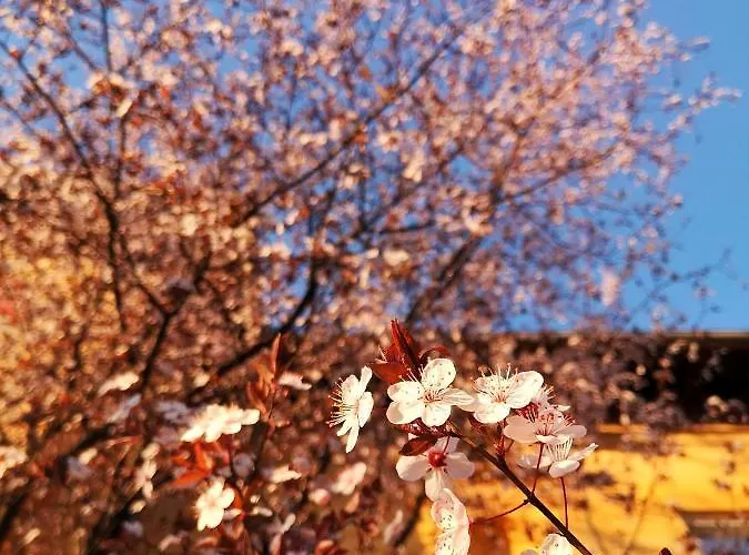 Vv Art, Unique In Center