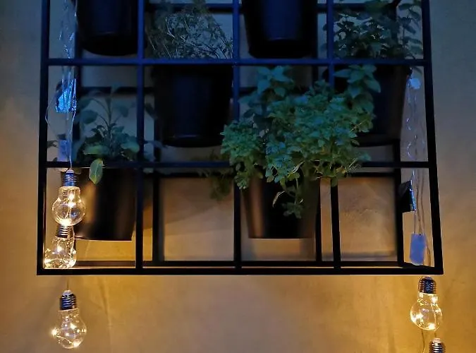 Vv Art, Unique In Center